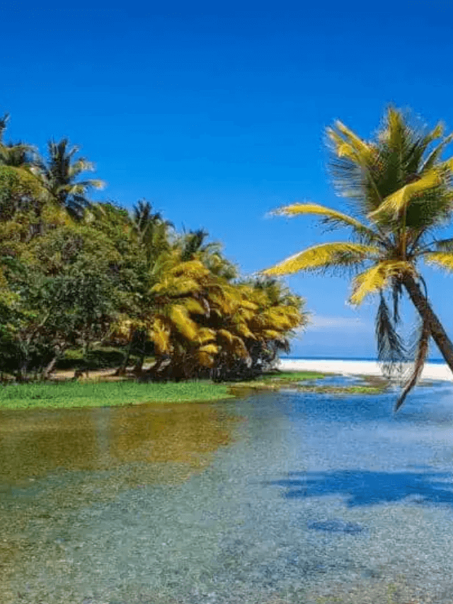 10 best things to do in punta cana, dominican republic