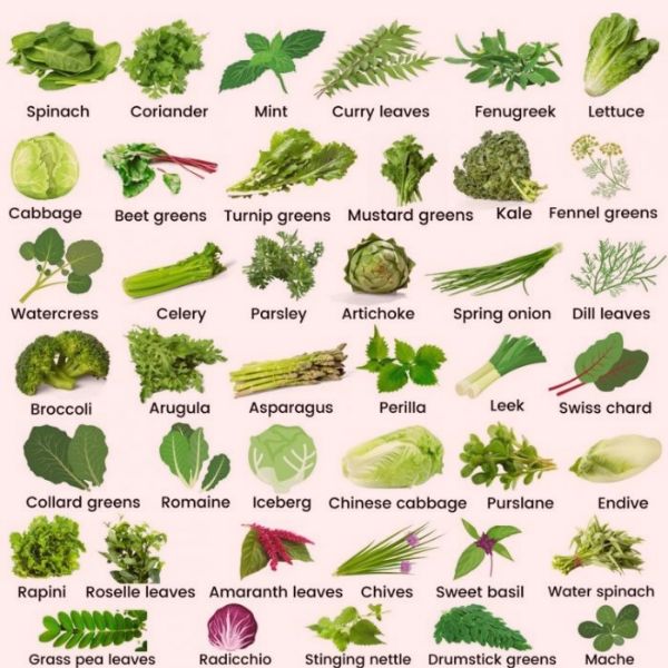 vegetables name in hindi